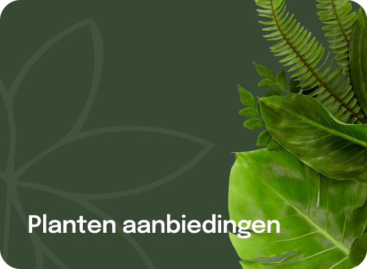 Plants offers Tile